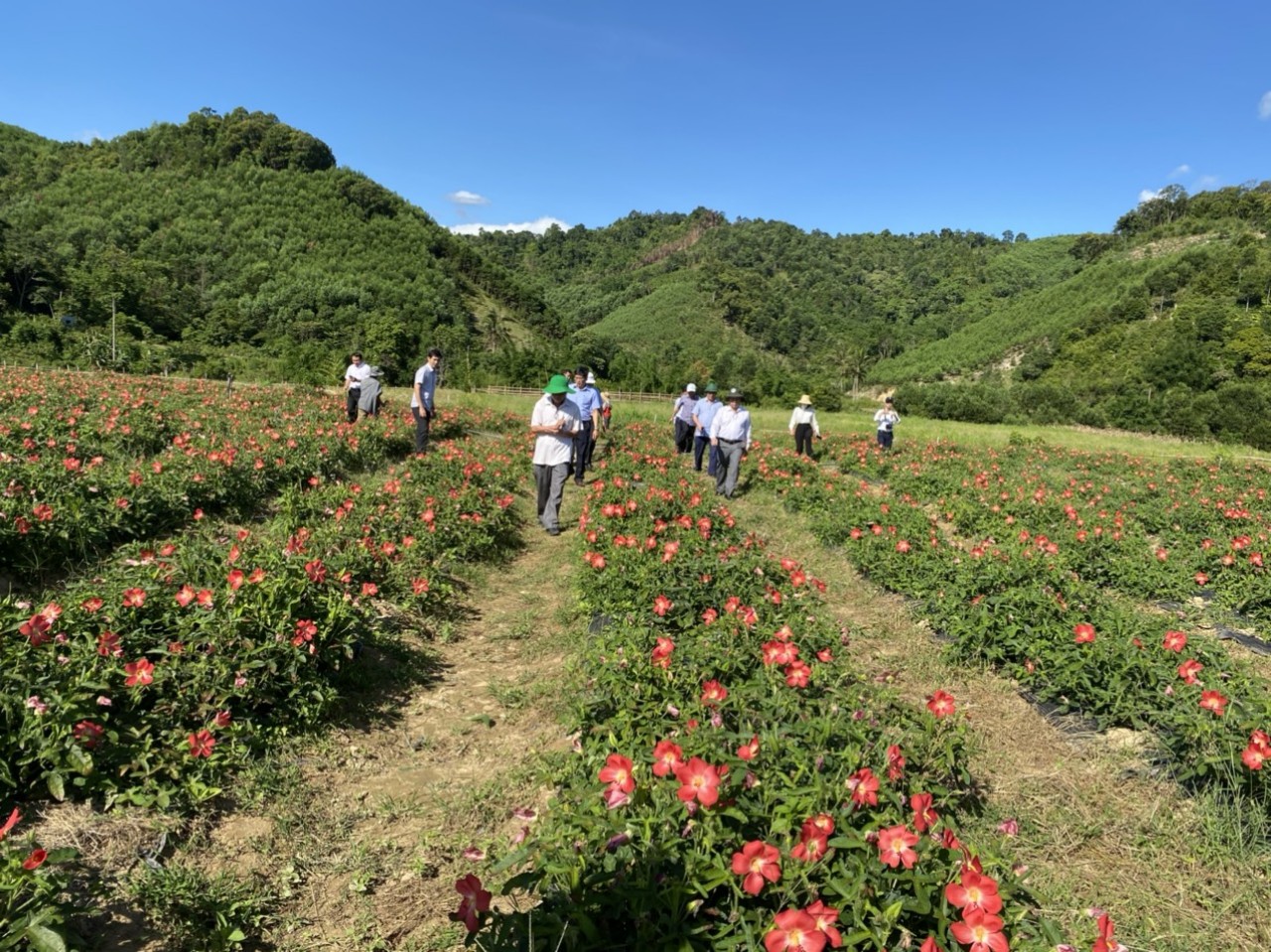 Năm 2022, A Lưới phấn đấu giảm tỷ lệ hộ nghèo xuống 10,18