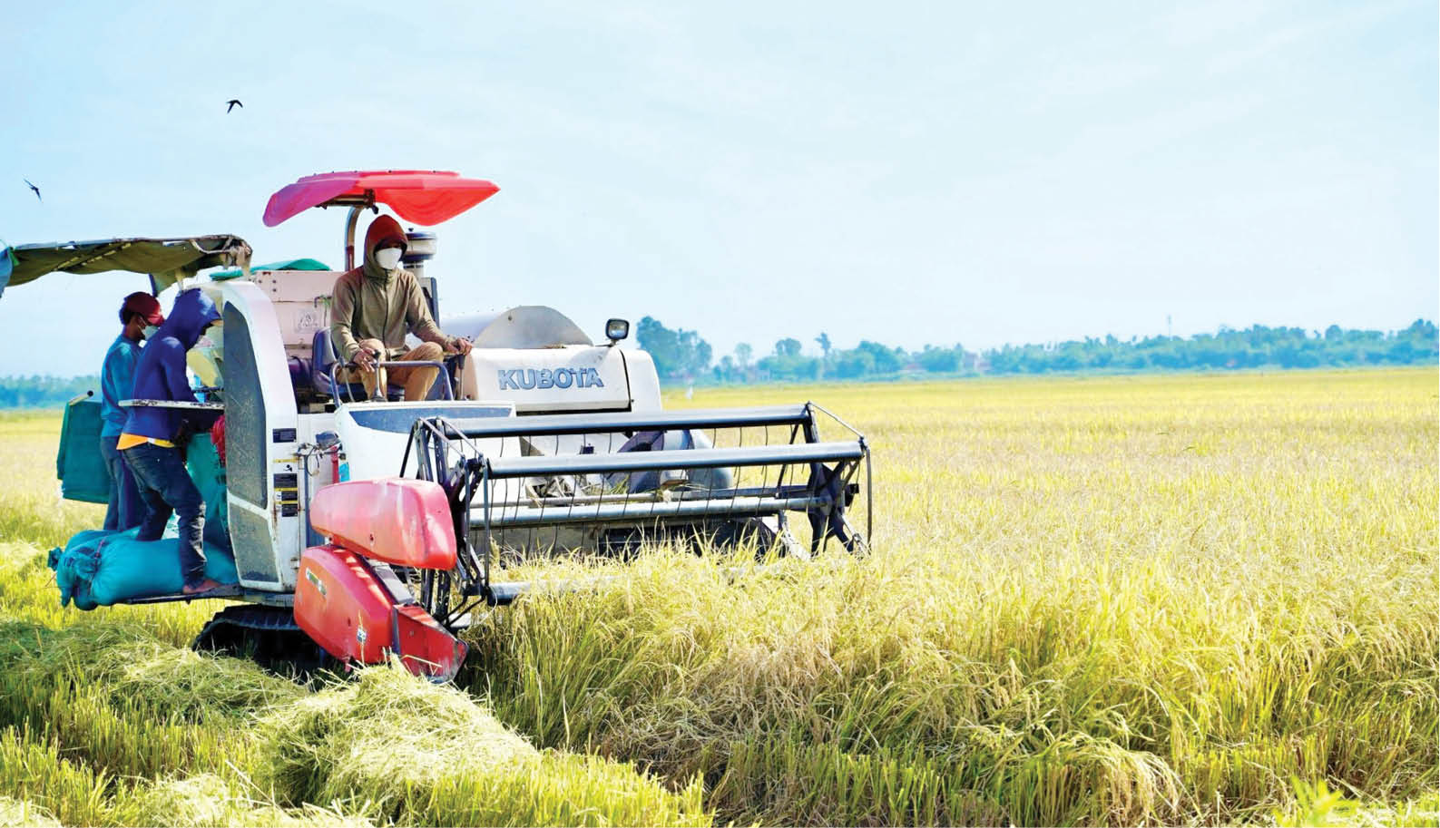 Hương Thủy Chú trọng nông nghiệp bền vững