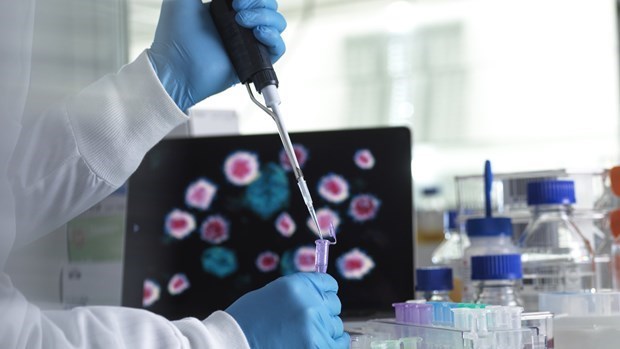 BQ 1 và BQ 1 1 có thể chiếm hơn 16 số ca nhiễm COVID-19 tại Mỹ