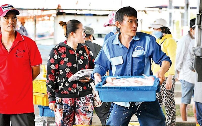 Tăng cường hiệu quả giám sát và truy xuất nguồn gốc thủy sản