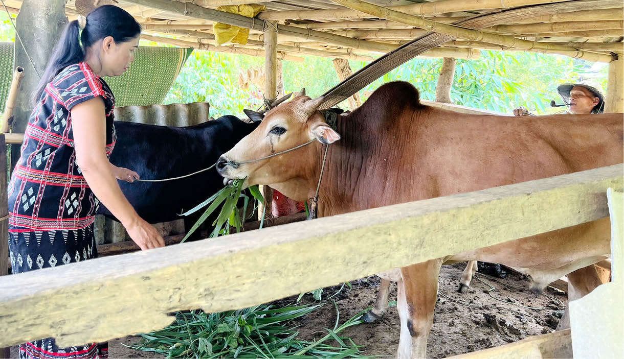 Vươn lên nhờ tín dụng chính sách