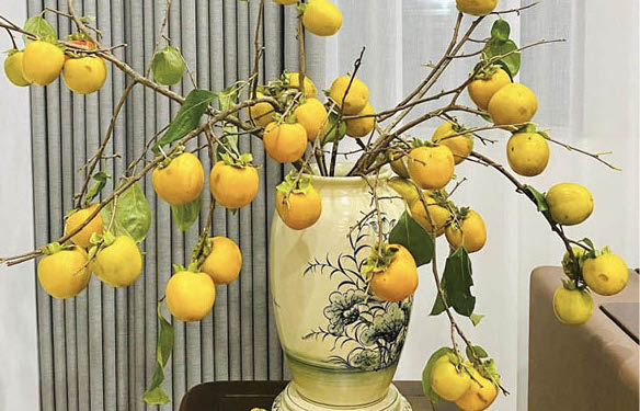 Bringing the “breath” of autumn into living spaces