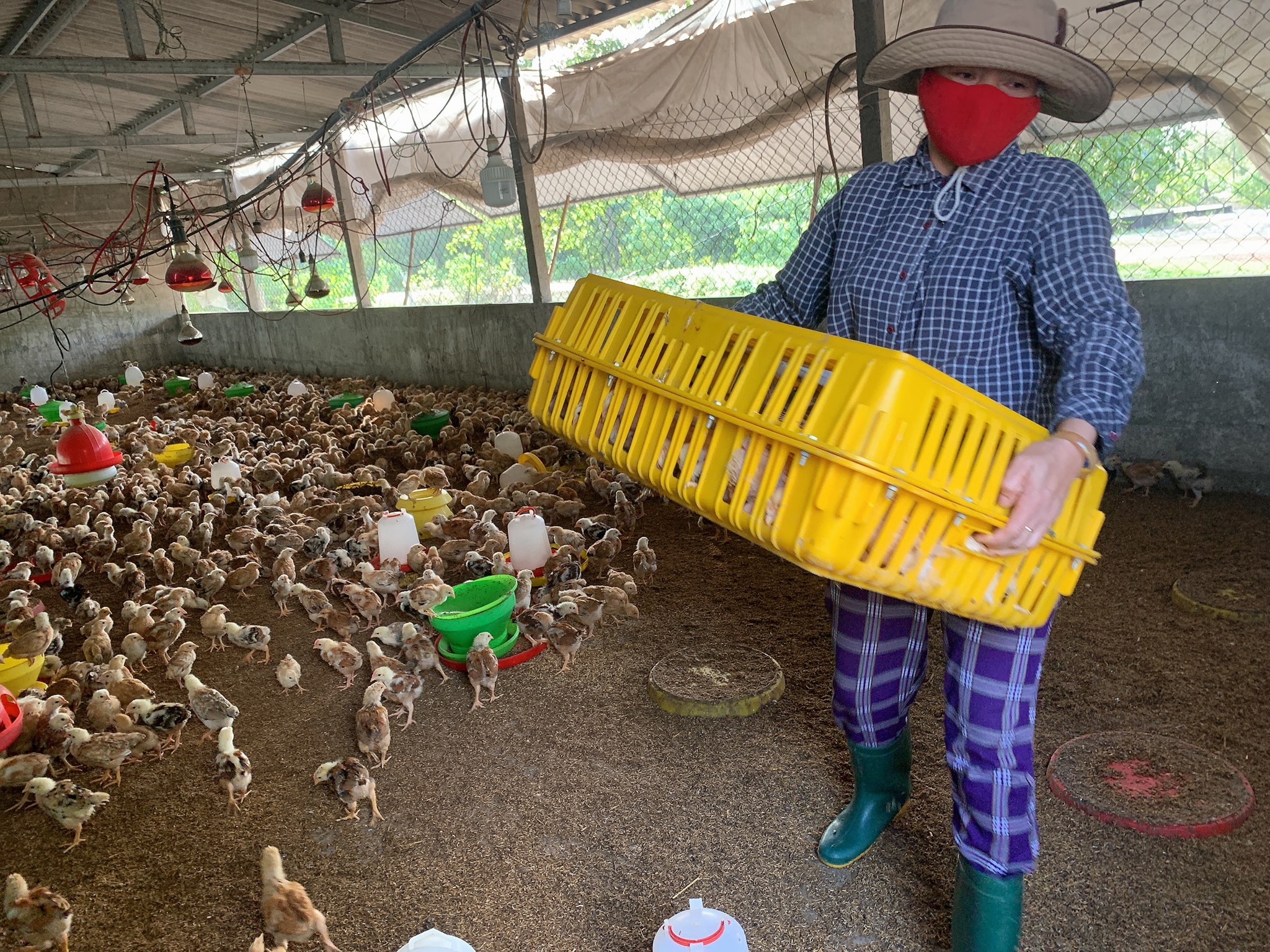 Kinh tế trang trại góp phần phát triển nông nghiệp, nông thôn và nông dân