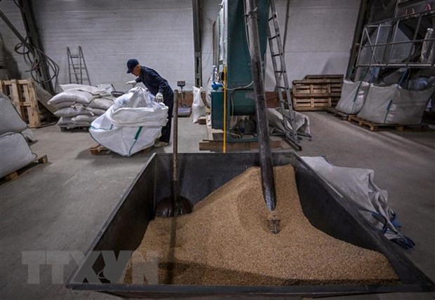 Liên Hiệp Quốc, Ukraine và Thổ Nhĩ Kỳ thúc đẩy thỏa thuận ngũ cốc dù Nga đang tạm dừng