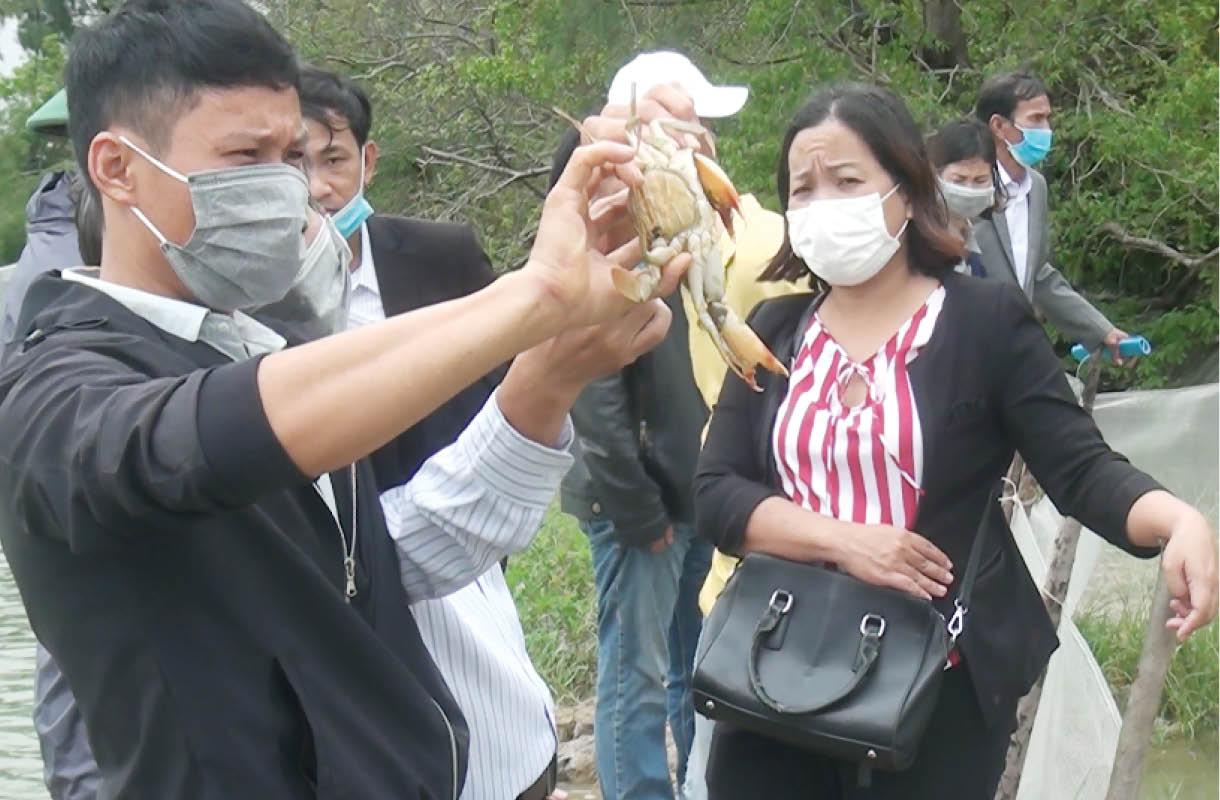Cơ hội mới đầy triển vọng