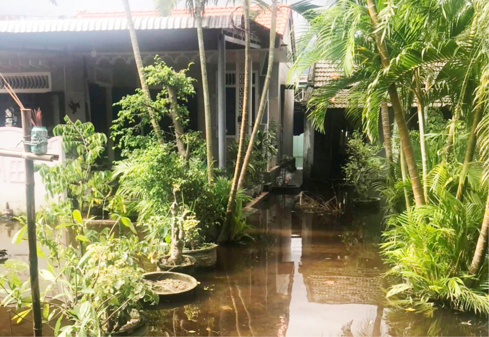 Công trình chợ Lăng Cô Gây ngập úng khu dân cư