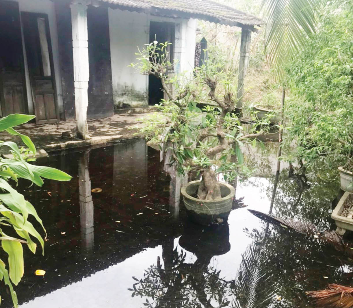 Công trình chợ Lăng Cô gây ngập úng khu dân cư Yêu cầu chủ đầu tư khẩn trương khắc phục