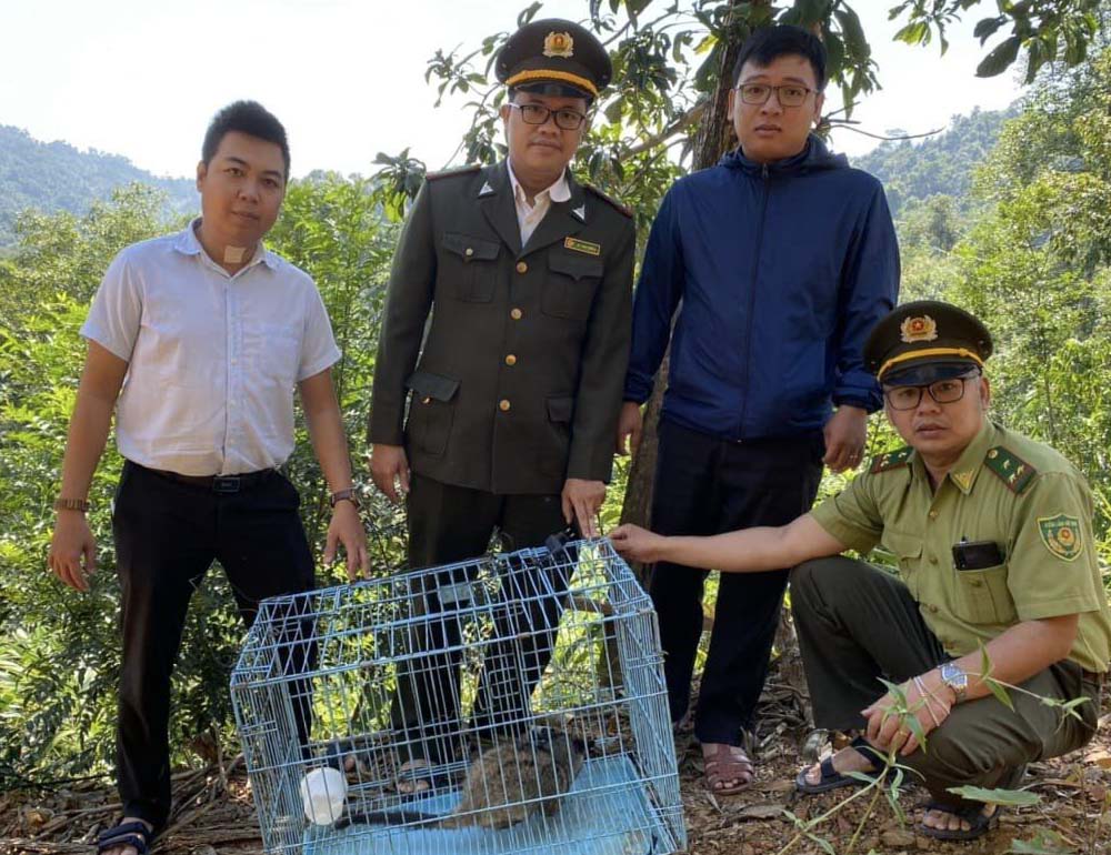 Thả hai cá thể động vật quý hiếm, nguy cấp về rừng