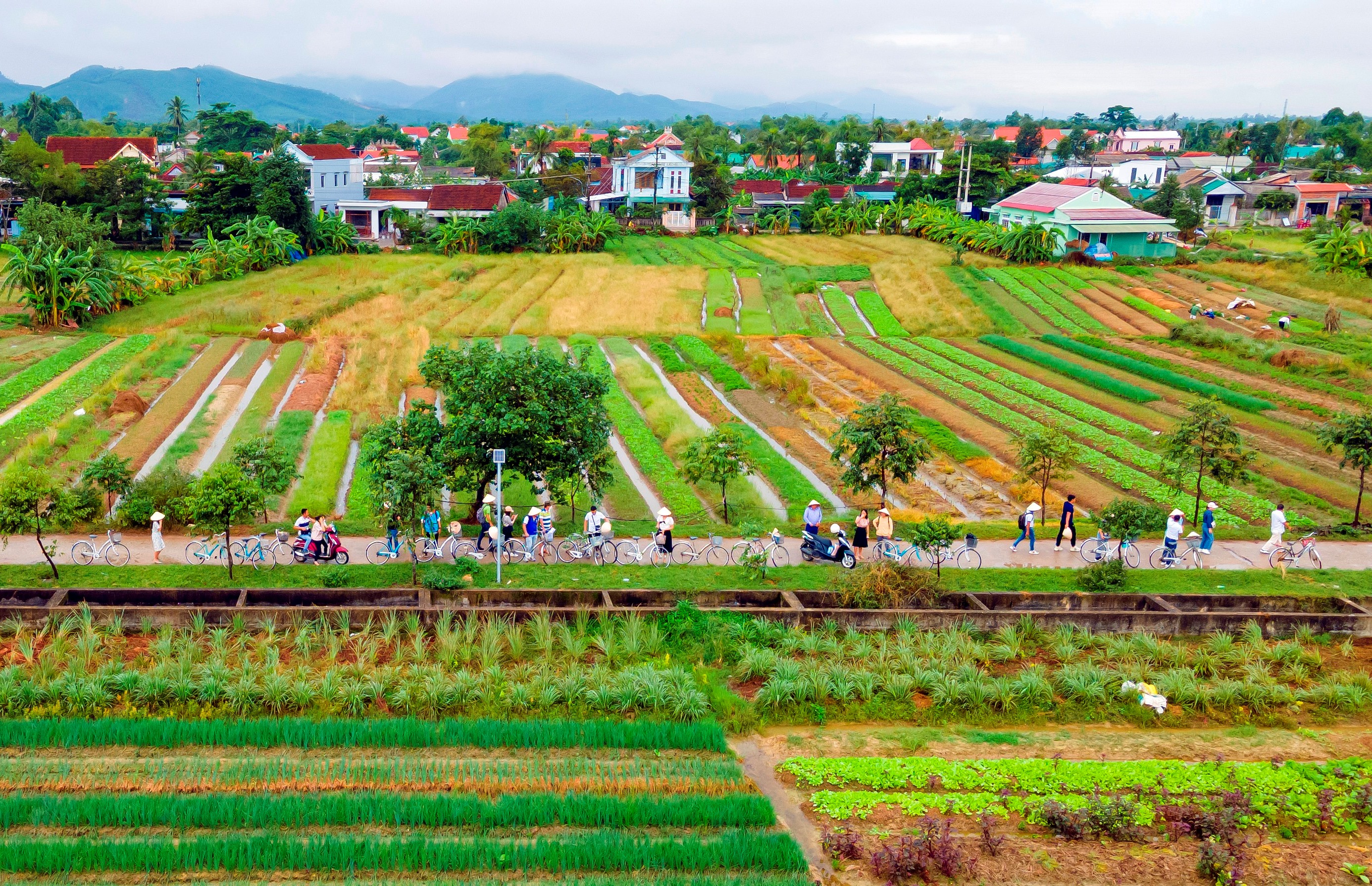 Nâng tầm thương hiệu Thành phố Festival