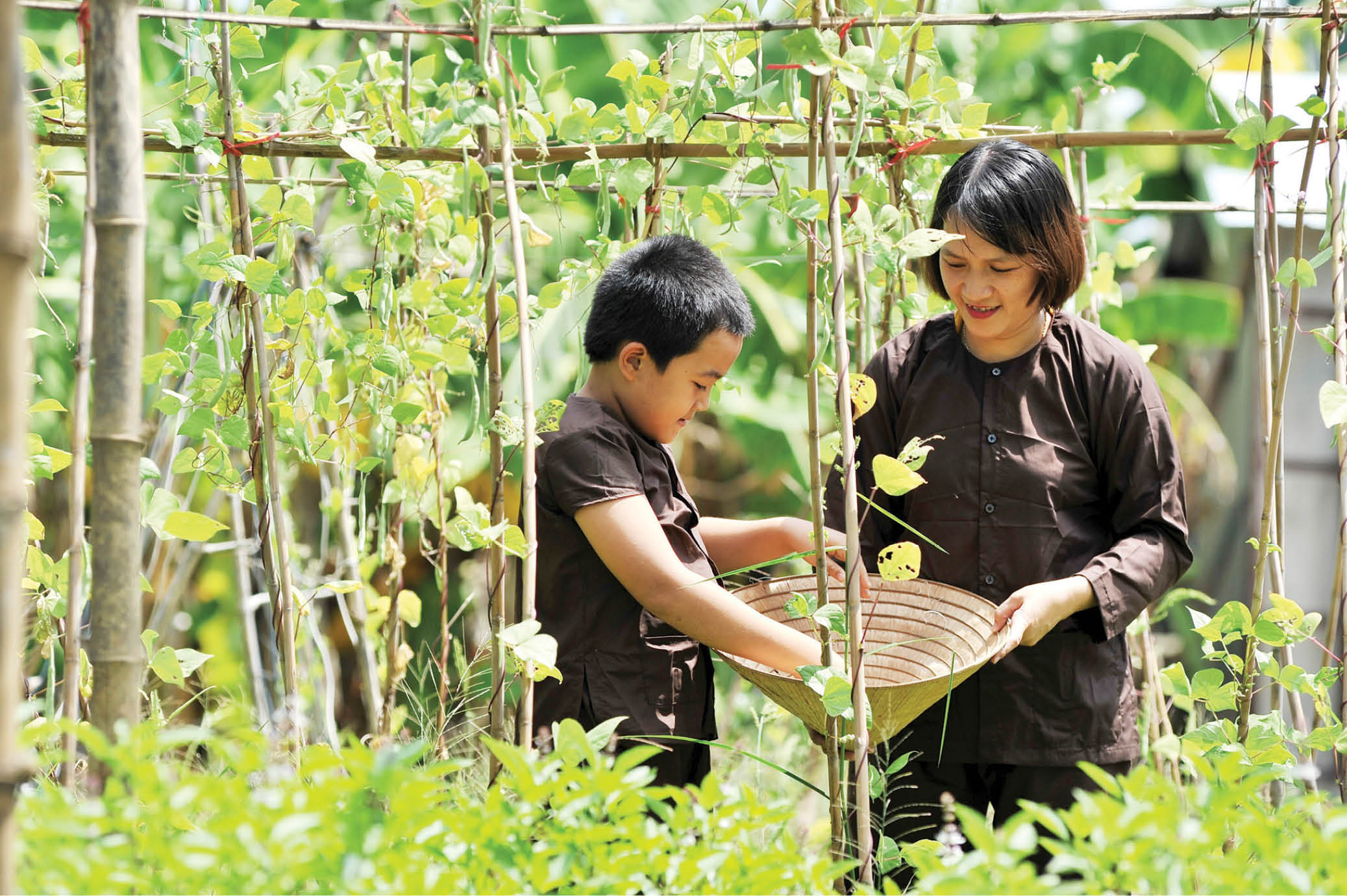 Phát triển nông nghiệp hữu cơ - xu thế tất yếu - Kỳ 1 Tạo đà từ hướng đi đúng