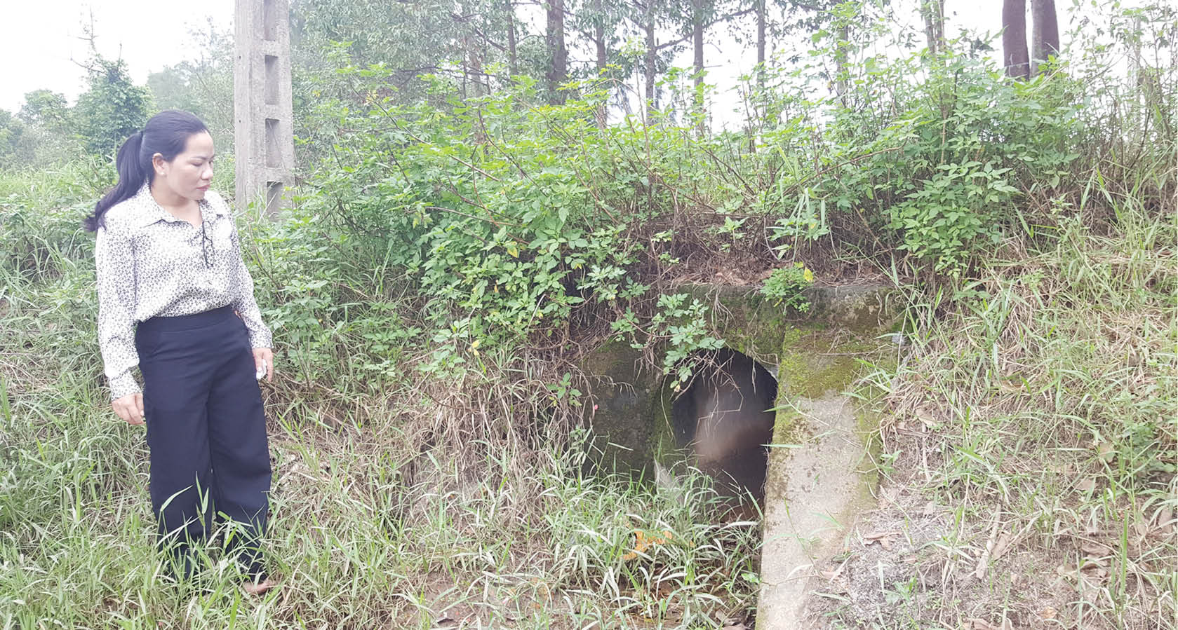 Không nên để sự việc kéo dài