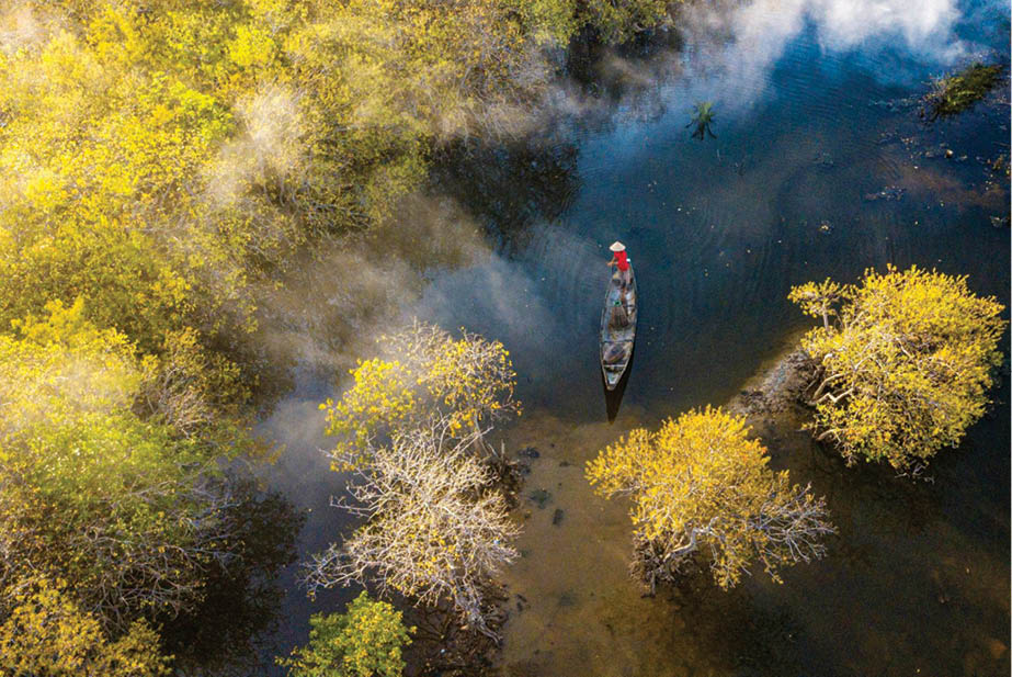 The colors of Ru Cha