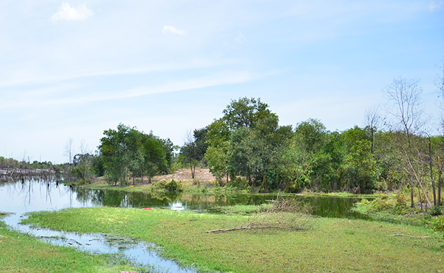 Xử phạt 4 hộ dân tự ý chuyển đổi mục đích sử dụng đất