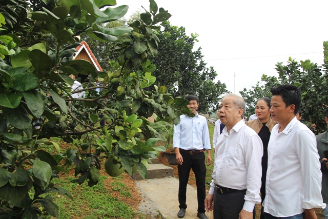 Phát triển kinh tế vườn, đồi là động lực để Dương Hòa phát triển