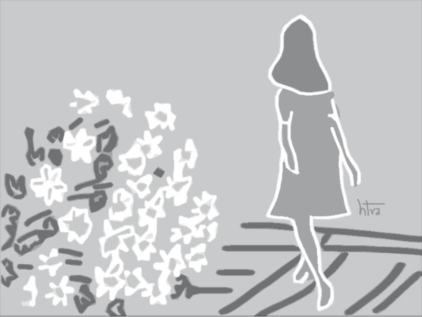 Sắc hoa sưởi ấm trời đông