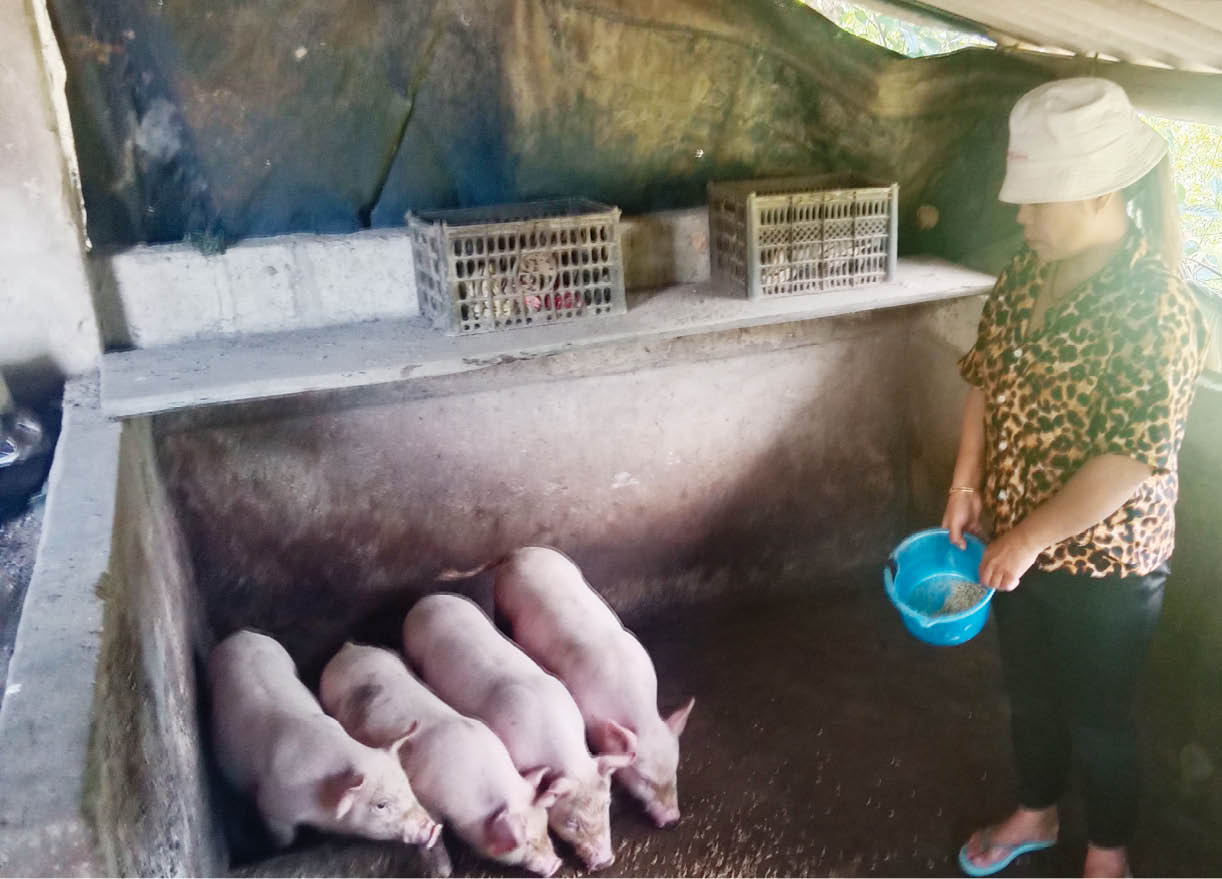 Cùng phụ nữ nghèo Bình Tiến vượt khó, xóa nghèo