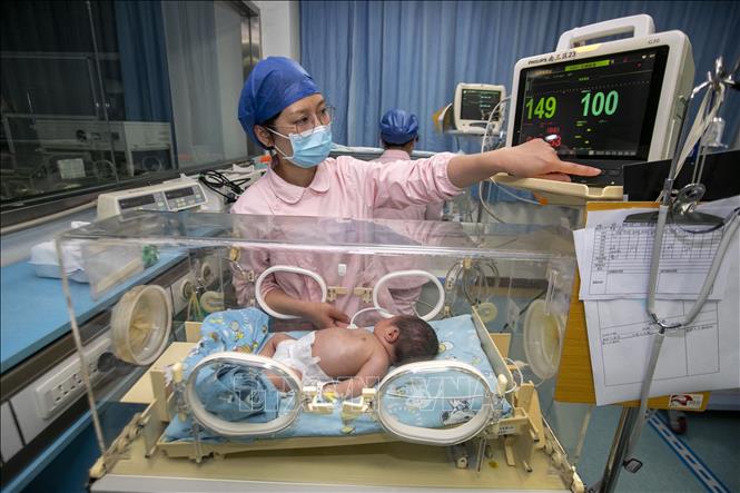 Dân số thế giới chính thức chạm mốc 8 tỷ người