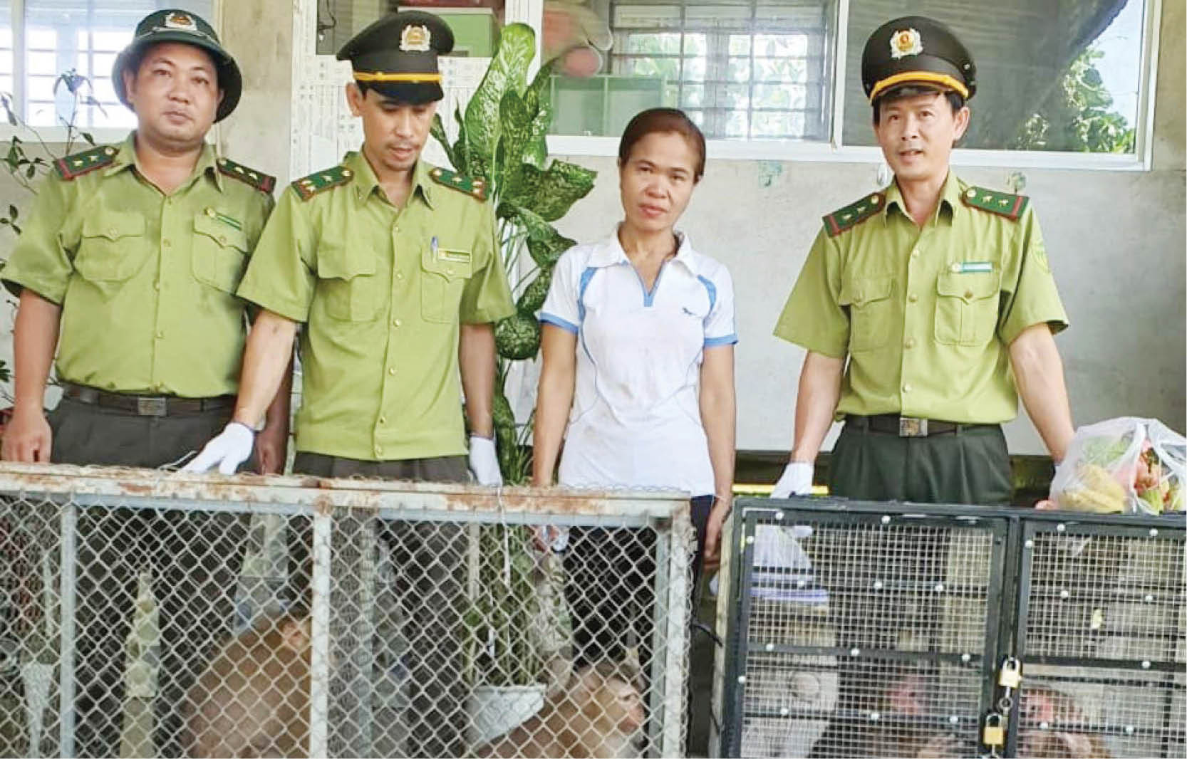 Cùng bảo tồn động vật hoang dã