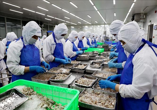 Tham gia sâu hơn vào chuỗi giá trị toàn cầu