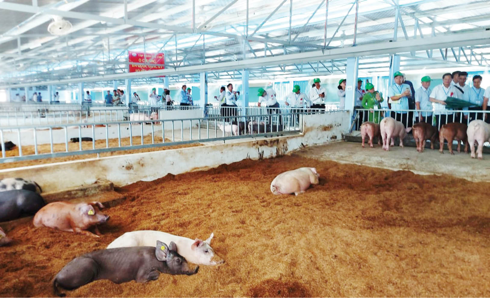 Phát triển trang trại để sản xuất bền vững