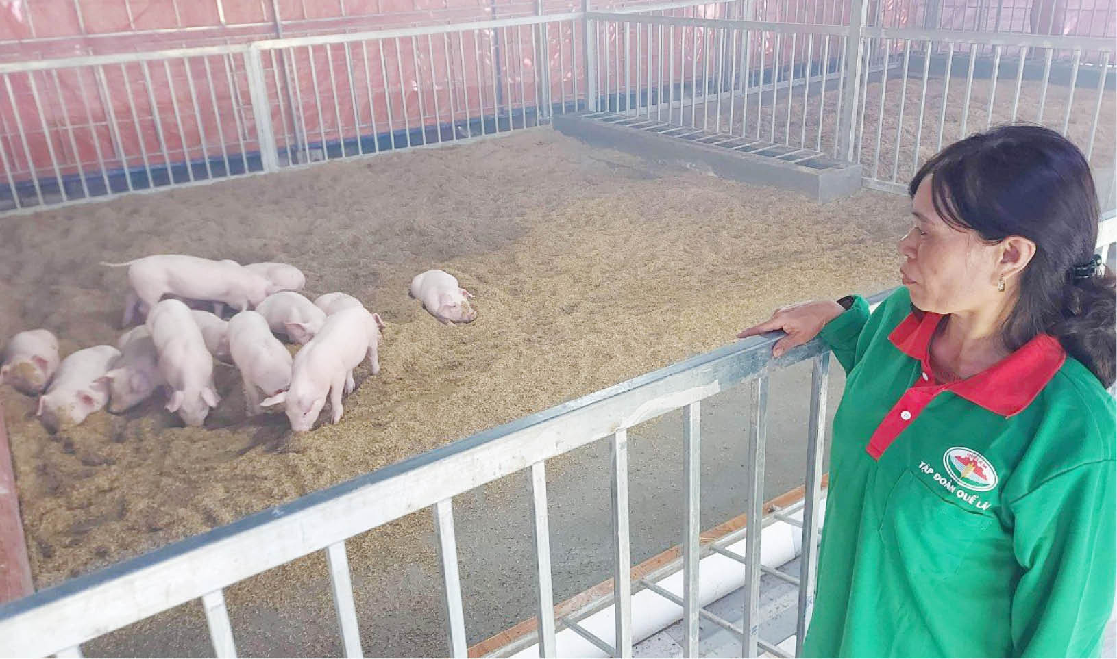 “Sống khỏe” với nông nghiệp hữu cơ