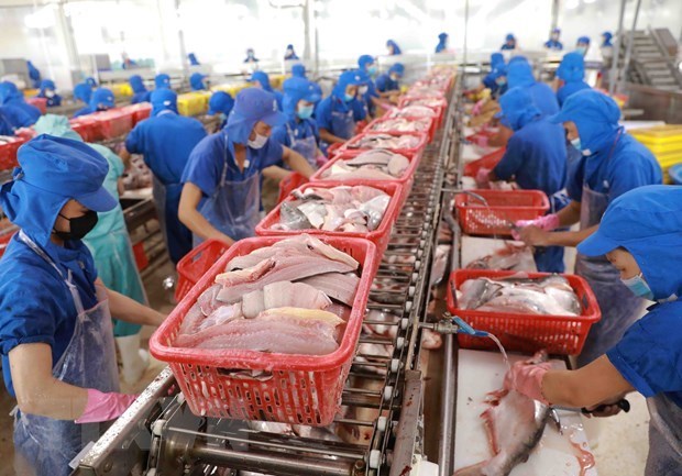 Xuất khẩu thủy sản của cả nước dự đoán sẽ cán mốc 11 tỷ USD