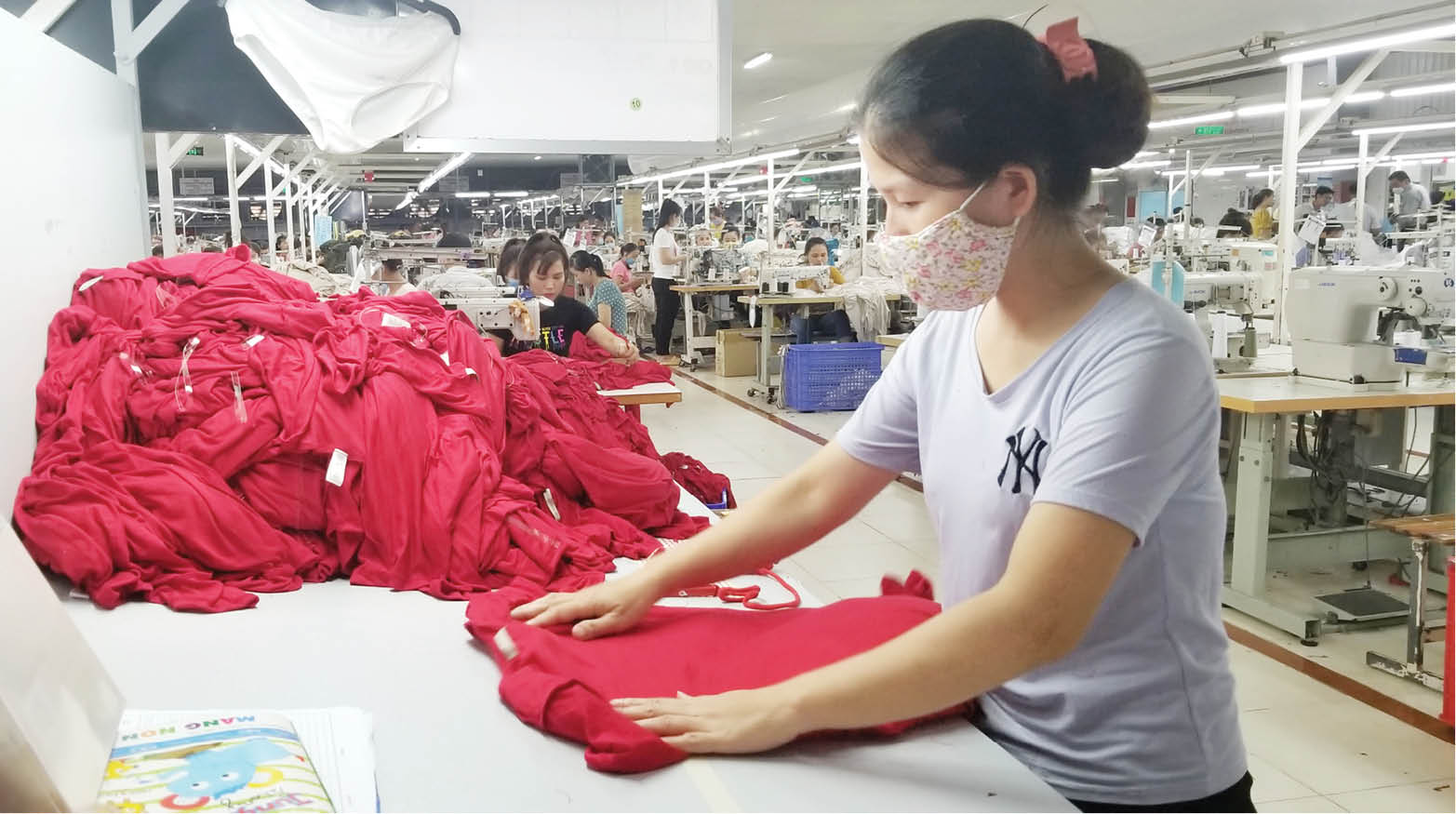 An sinh  bình đẳng giới