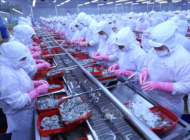 Từ 1 1 2023, quy định Quy tắc xuất xứ hàng hóa trong Hiệp định RCEP sẽ áp dụng một số điểm mới