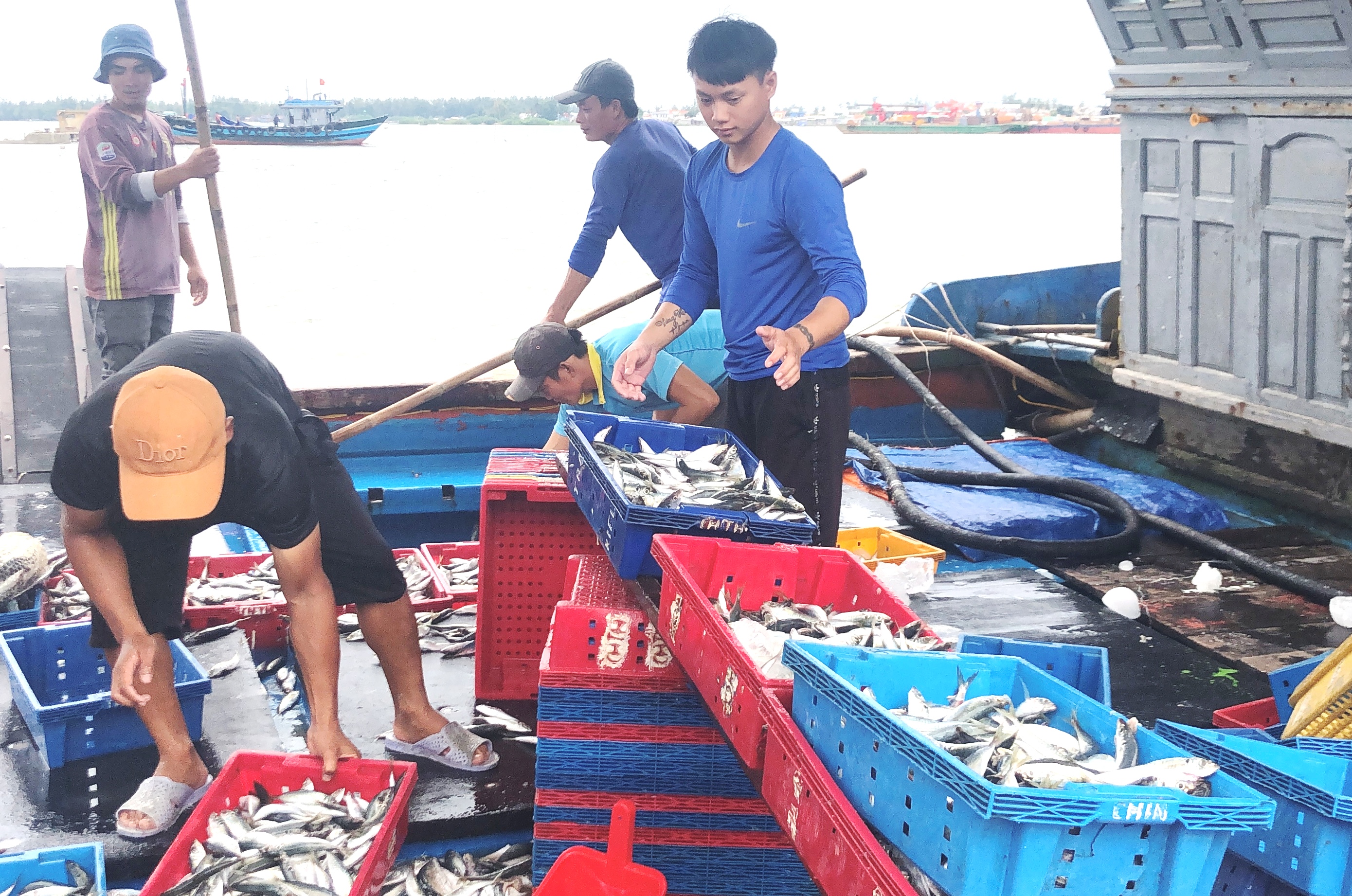 Nhiều chuyển biến trong chống khai thác IUU