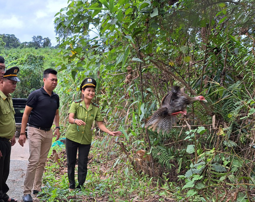 4 valuable and rare animals released back to natural environment