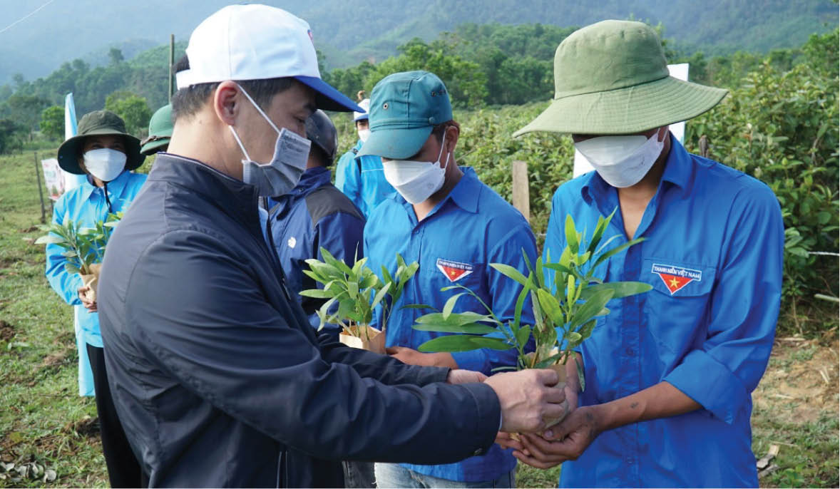 Ít nhất trồng thêm 7 triệu cây xanh