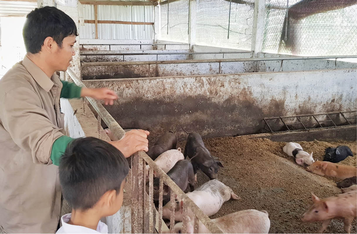 Anh Teo “mô hình”
