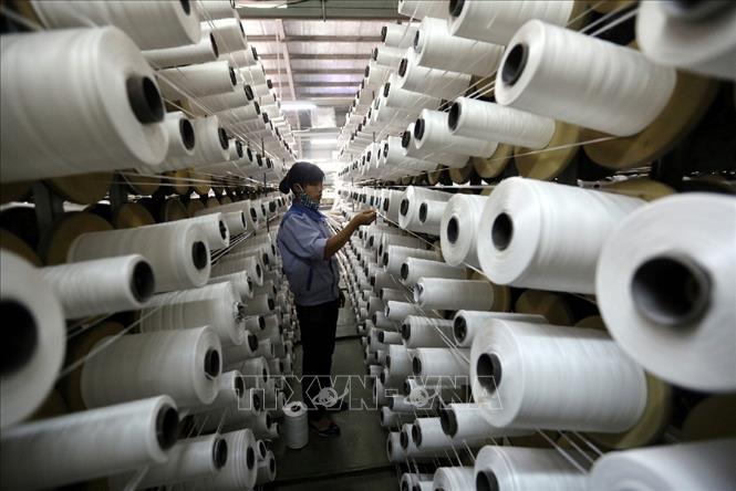 Việt Nam - Hàn Quốc còn nhiều dư địa trong phát triển thương mại
