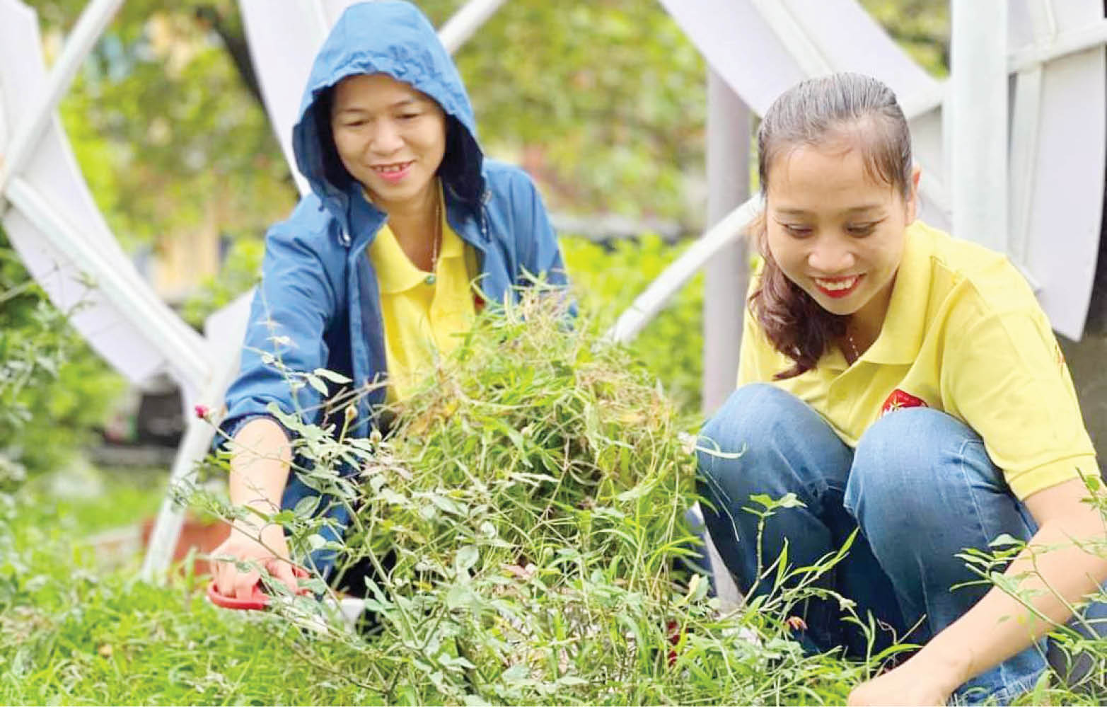 Hiệu ứng từ các phong trào