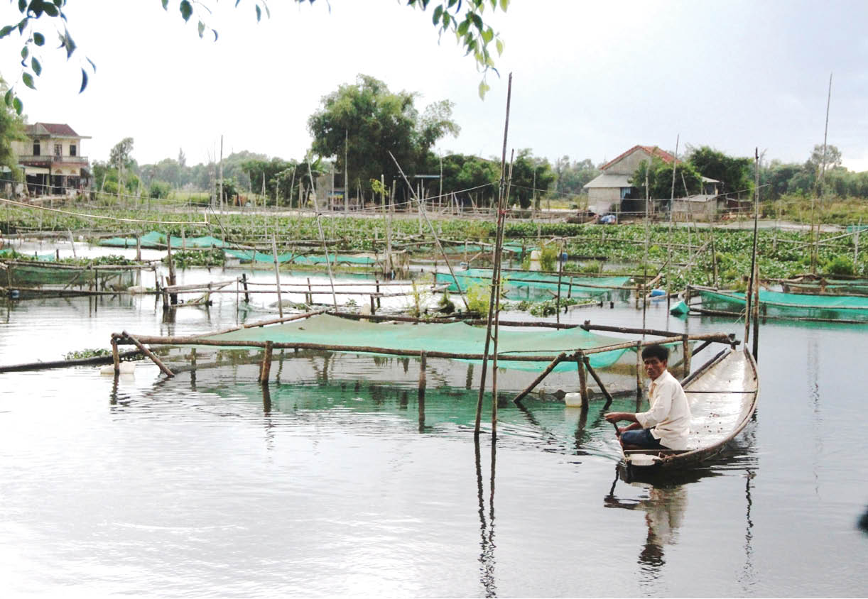 Cá thác lác  câu chuyện để tiềm năng trở thành thế mạnh