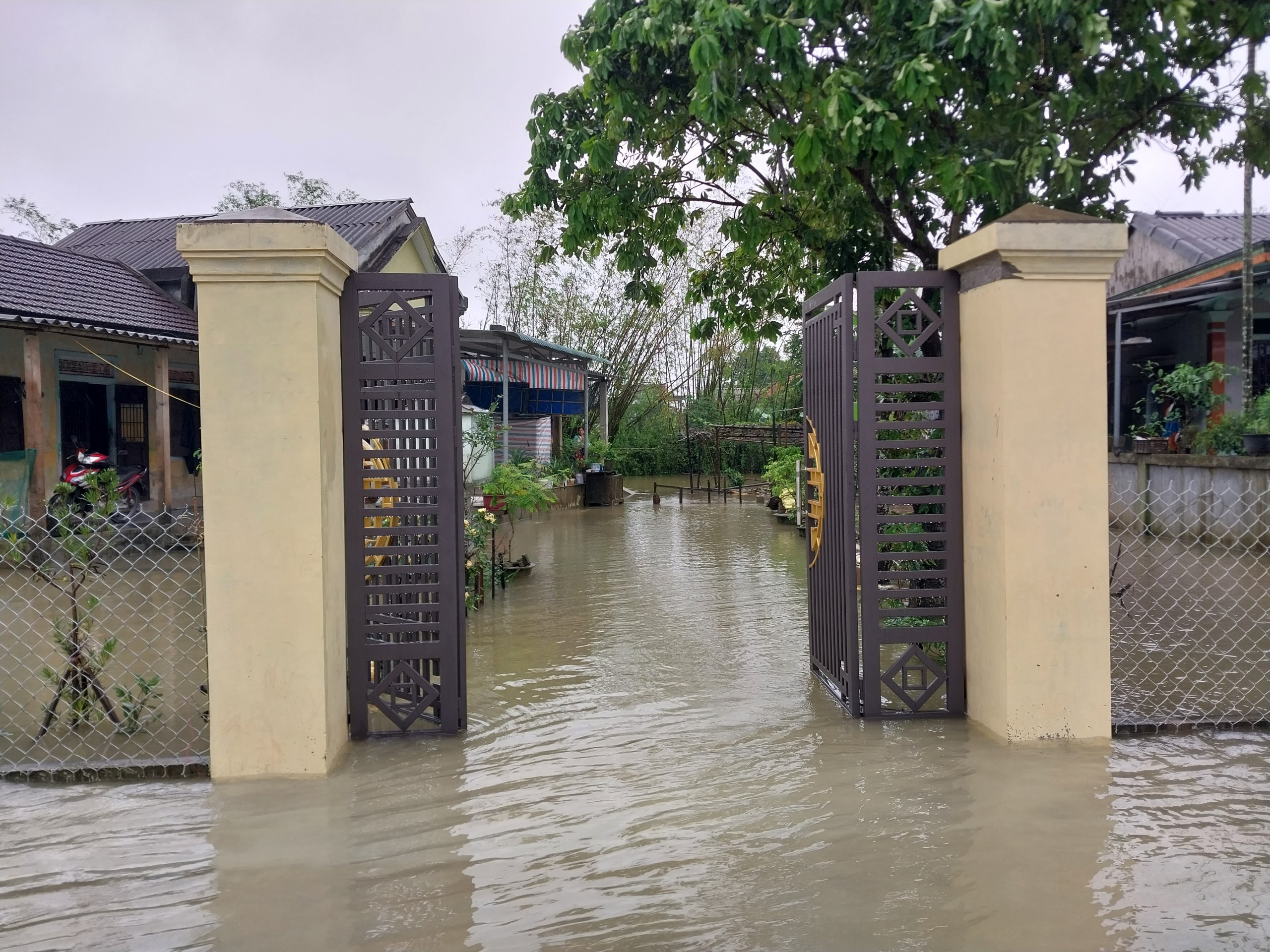 Mưa kéo dài, người dân vùng thấp trũng chèo ghe đi lại