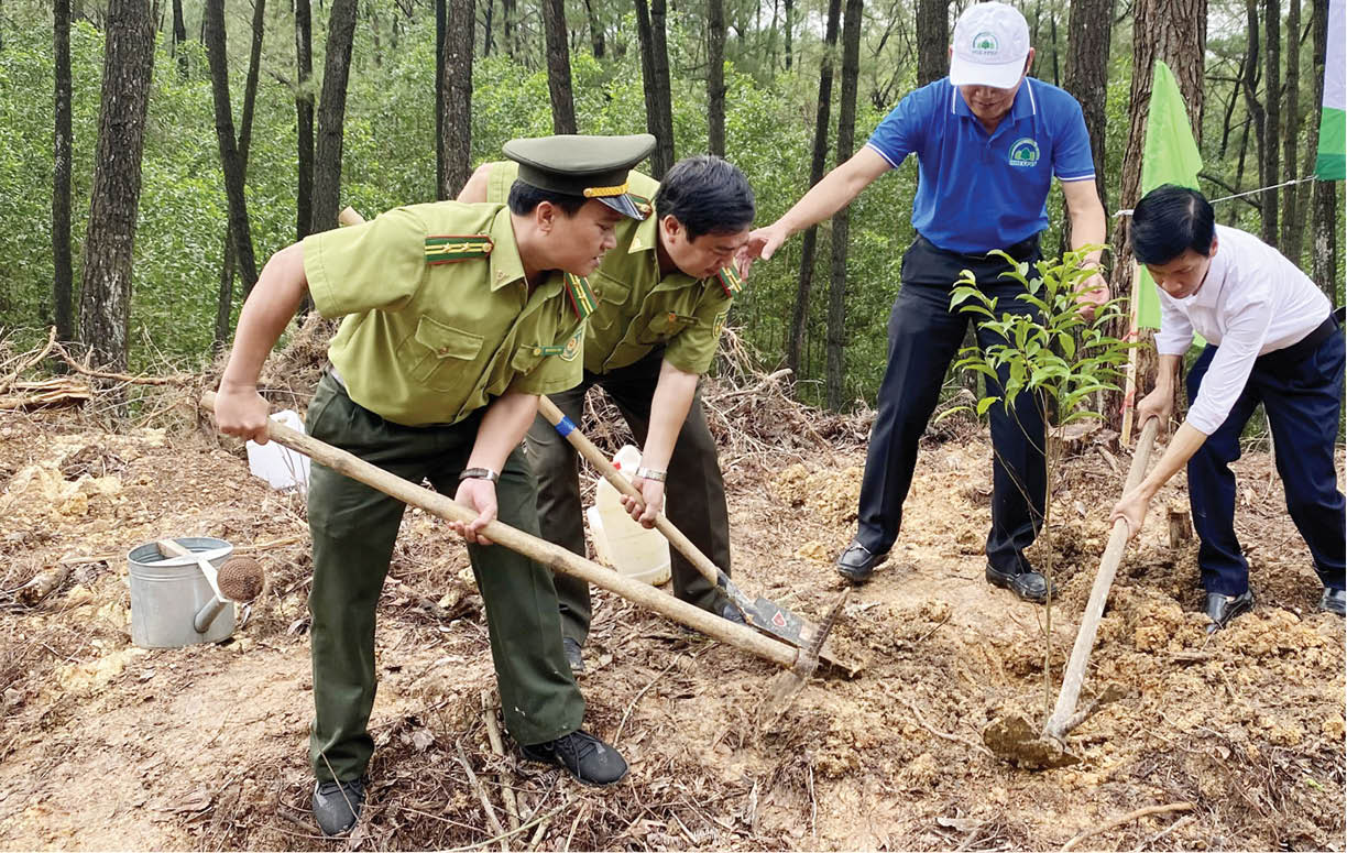 Lan tỏa phong trào trồng cây bản địa