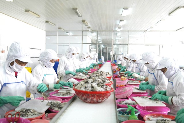 Năm 2023, xuất khẩu tiếp tục tỏa sáng