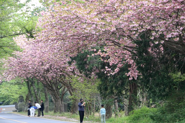 Hàn Quốc công bố Kế hoạch xúc tiến du lịch, đề ra 4 mục tiêu