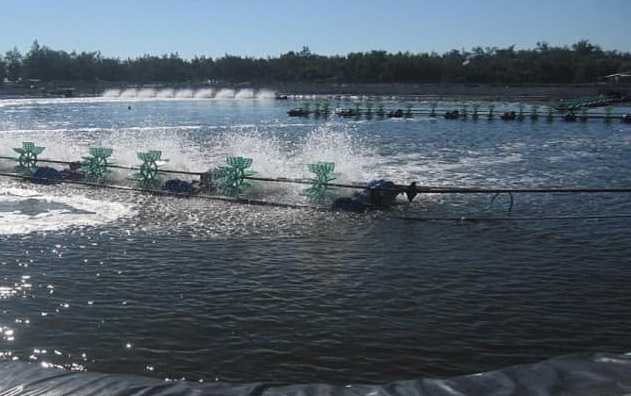 Ứng dụng mô hình, kỹ thuật mới trong nuôi trồng thủy sản