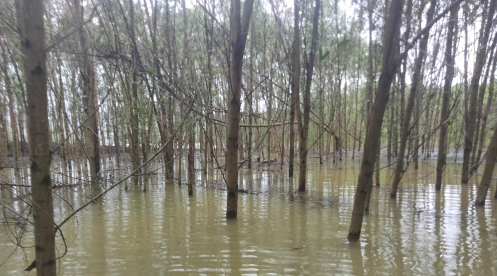 Hồ thủy lợi gây ngập, người dân nhiều năm chờ đền bù