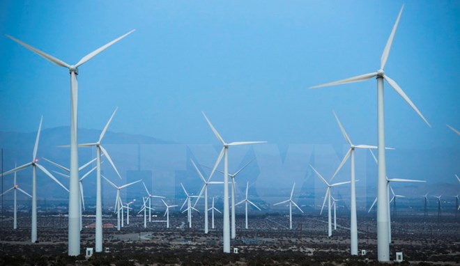 APEC Chuyển đổi kinh tế xanh cần thúc đẩy bình đẳng và hòa nhập