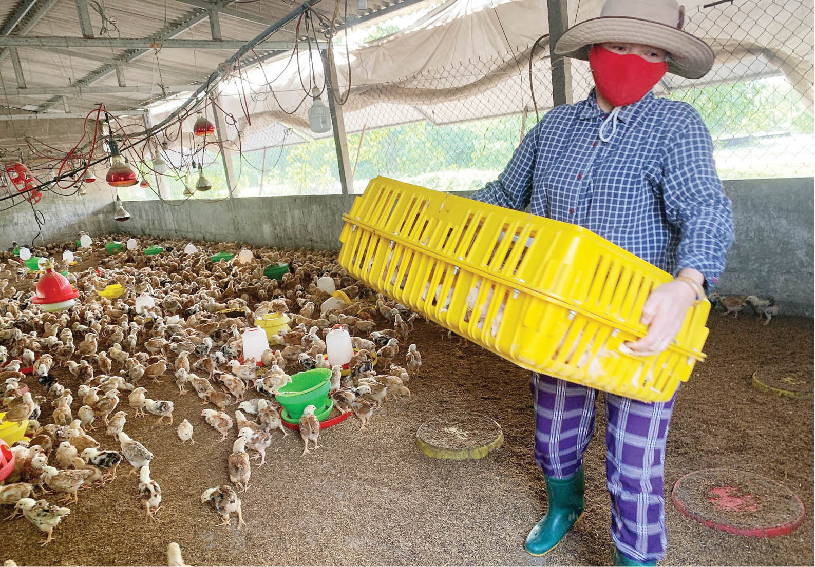 Cát trắng nở hoa