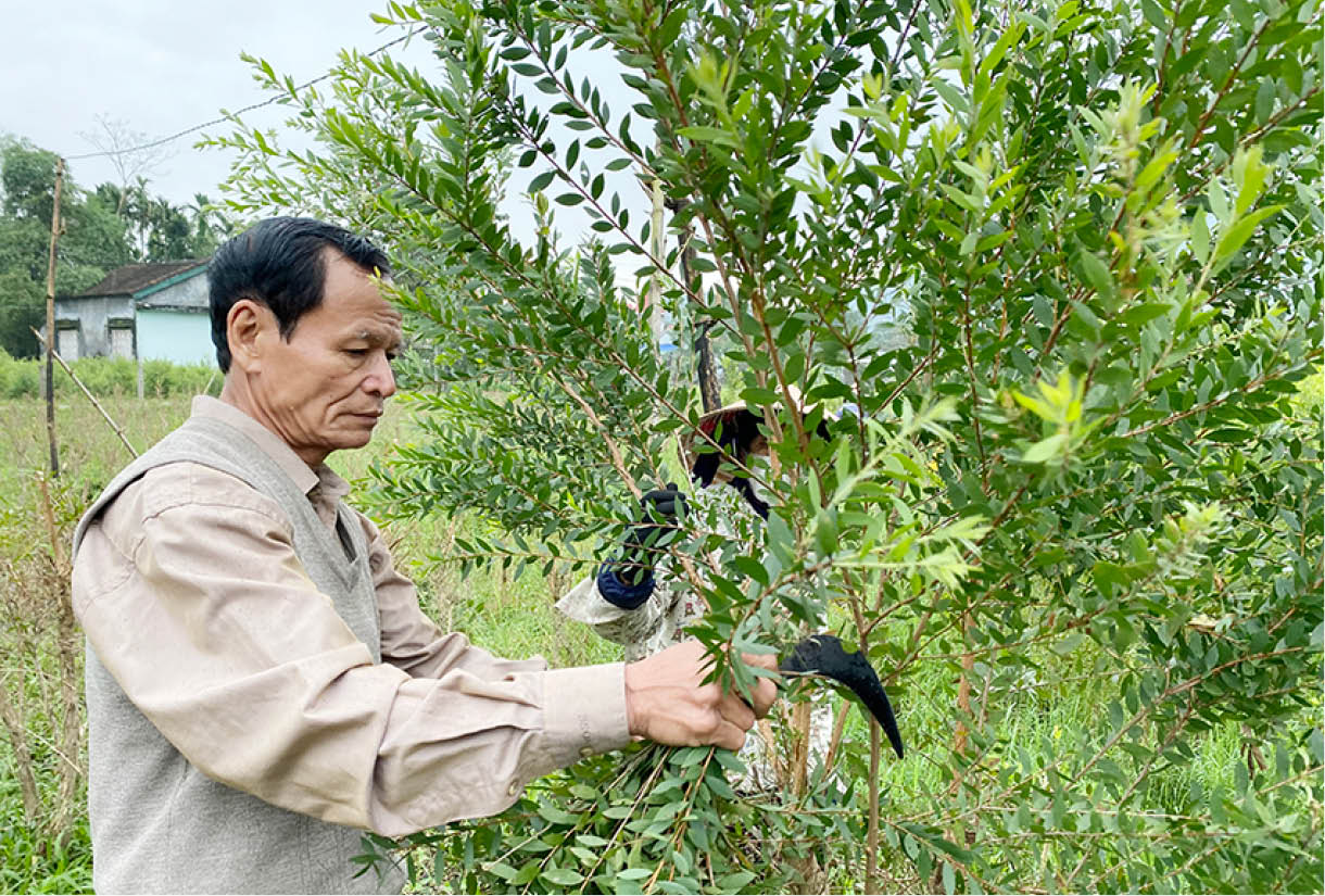 Ông Đính làm kinh tế