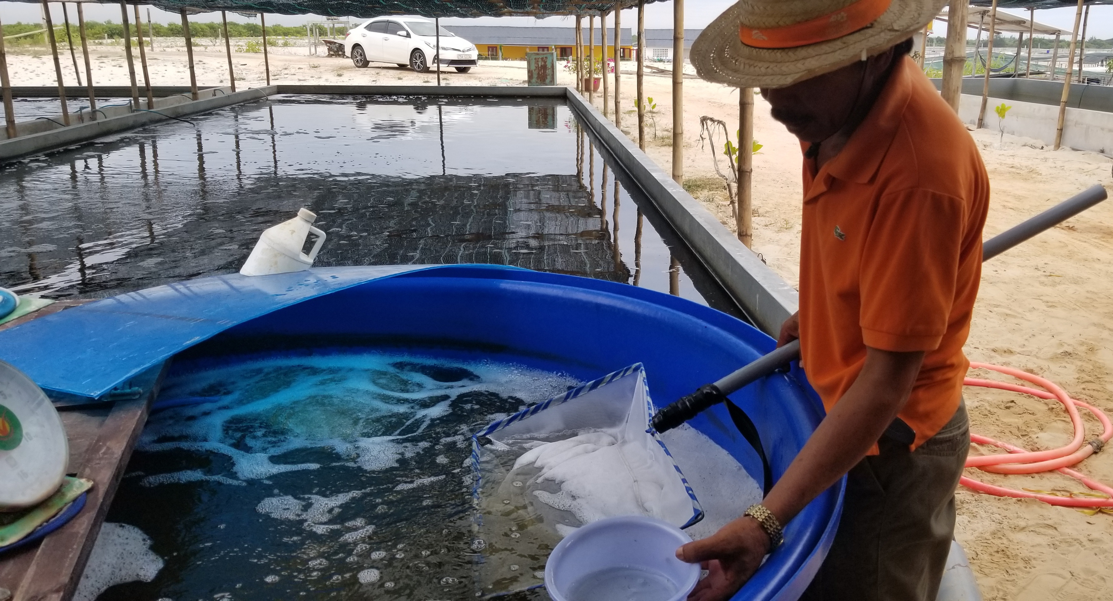 Tạo lập, bảo hộ và quảng bá nhãn hiệu tập thể cho sản phẩm cá Vẩu Cầu Hai