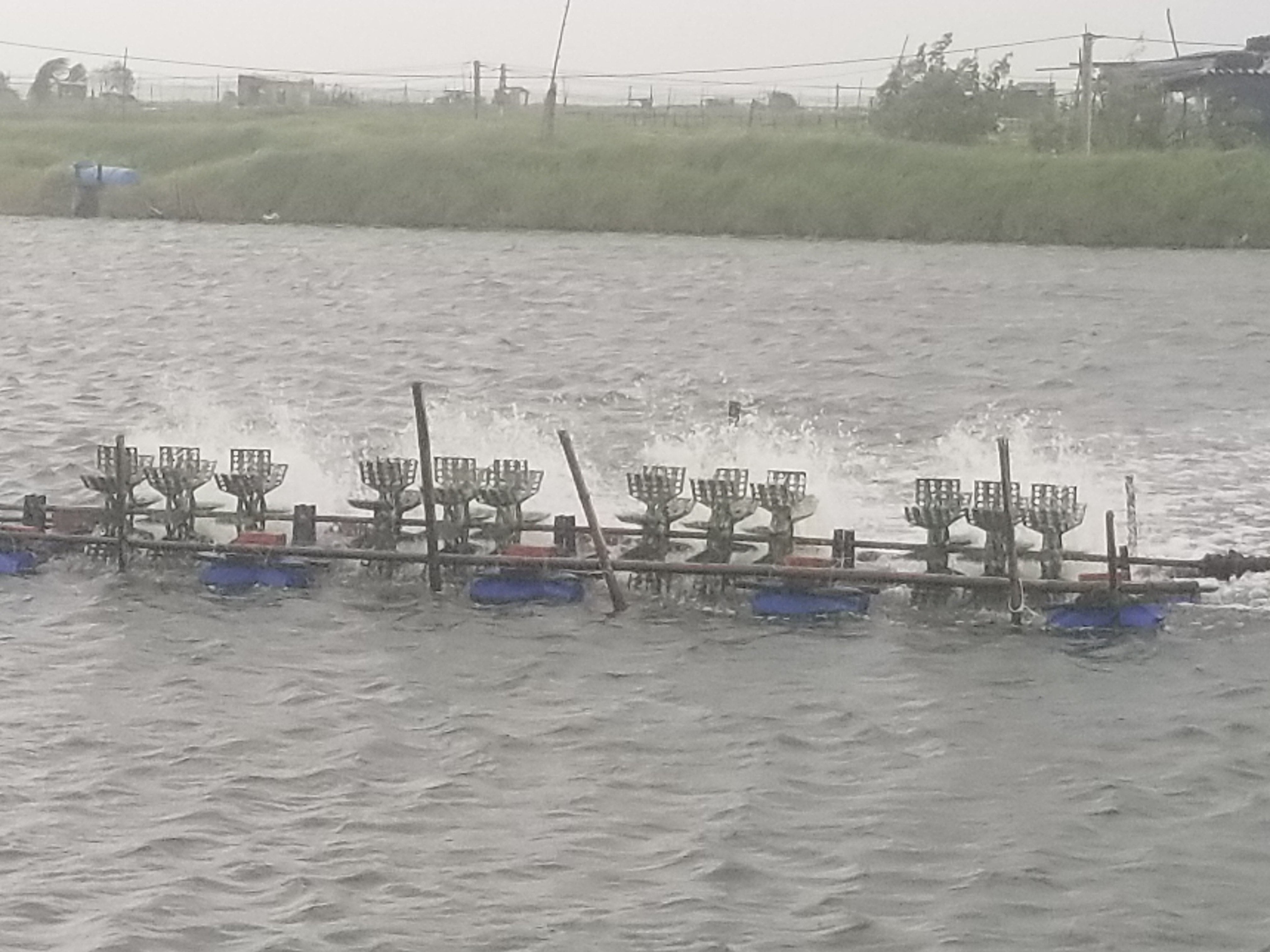 Cần chấp hành quy định nuôi thủy sản vụ mới