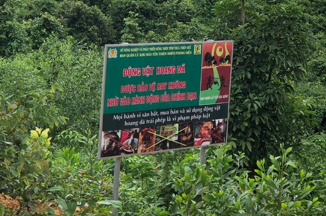 Trồng thêm 6 ha rừng cảnh quan tại Khu bảo tồn thiên nhiên Phong Điền