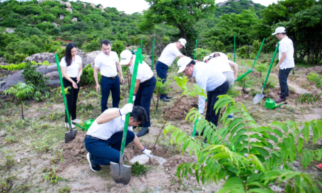 Bồi đắp lá phổi xanh ở thượng nguồn sông Ô Lâu