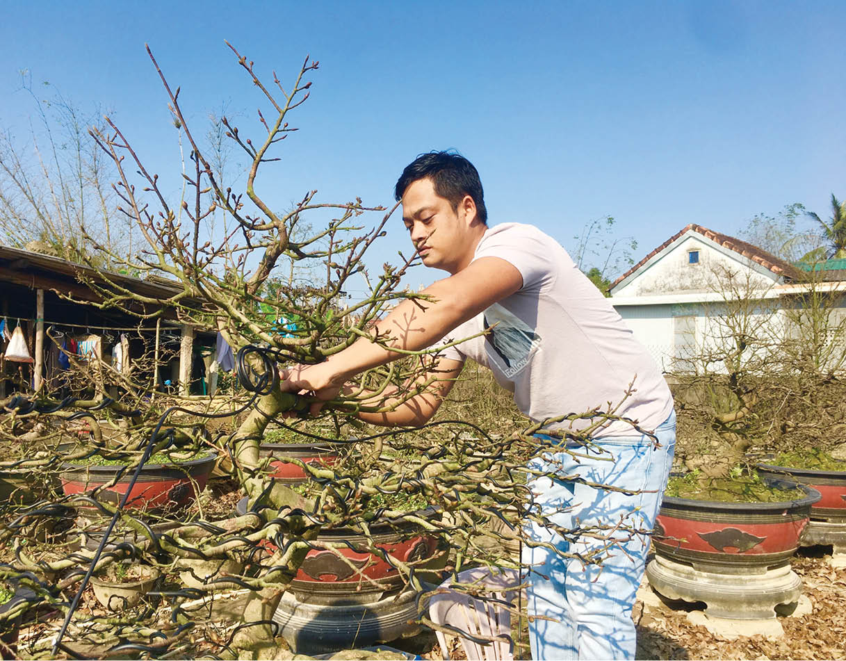 Tất bật dịch vụ chăm sóc sân vườn, cây cảnh trước tết
