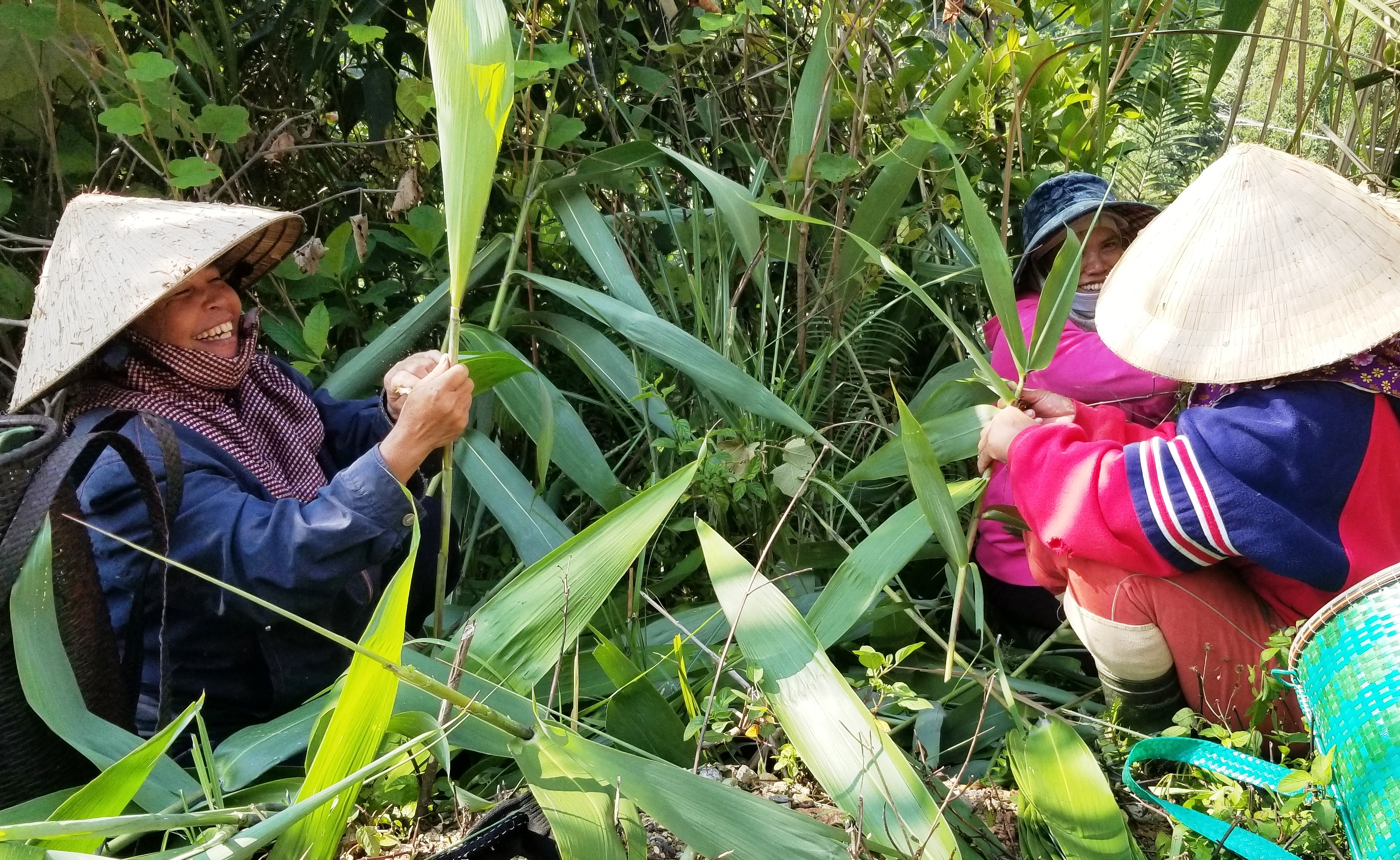 Đời sống đồng bào dân tộc thiểu số và miền núi ngày càng ổn định